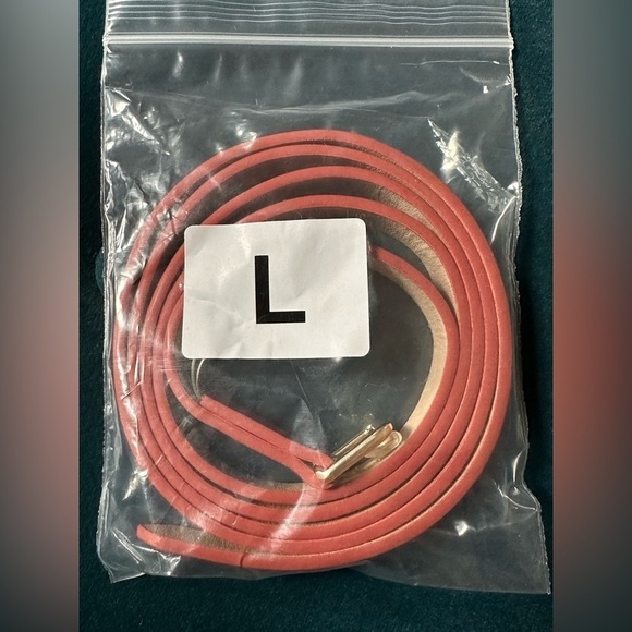 popsy clothing Accessories - Size large belt popsy clothing new never used accessories